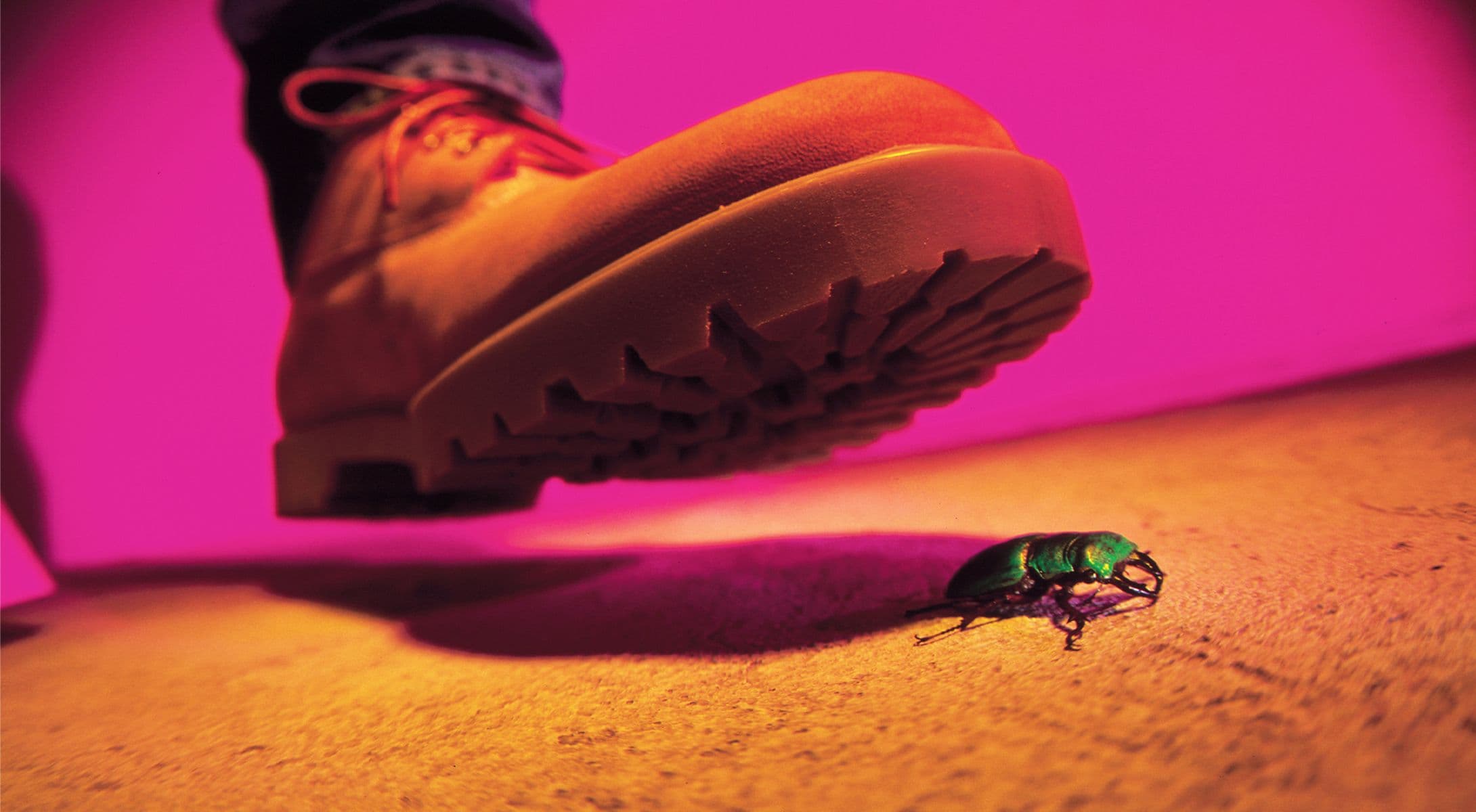 Why Bug Bounty Hunters Are Earning Huge Payouts