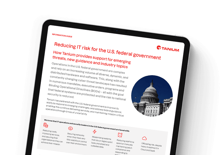 Reducing IT Risk for Federal Agencies