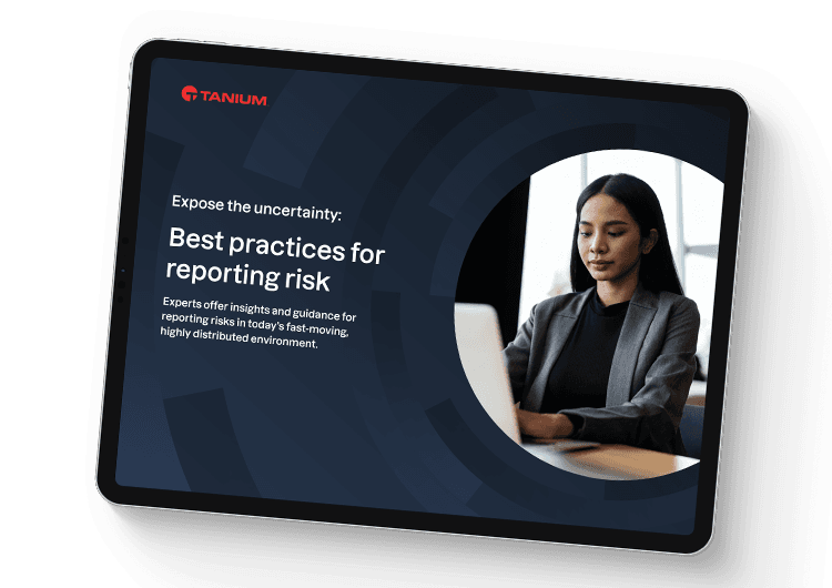 Expose the uncertainty: best practices for reporting risk